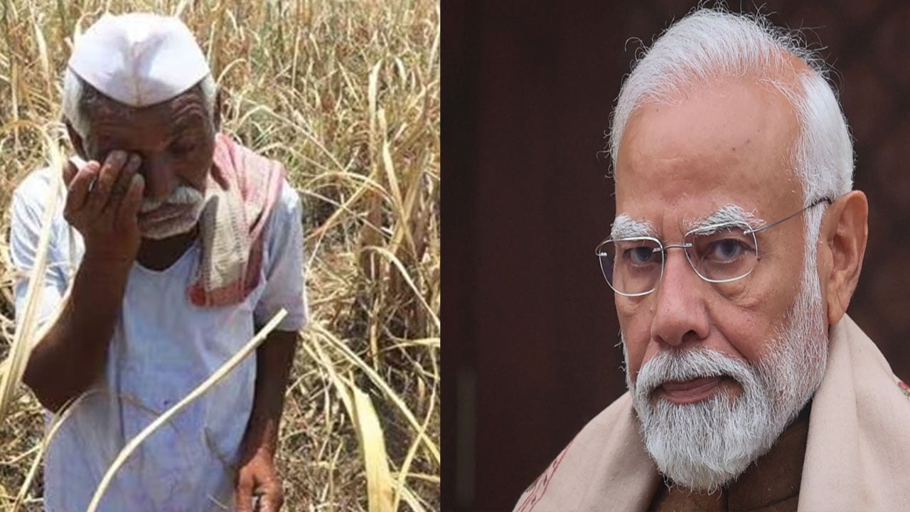 ভারতে বেড়েছে কৃষকদের আত্মহত্যা, মোদিকে দোষারোপ