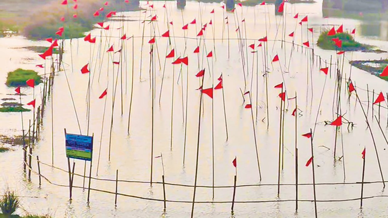 পরশুরামে মৎস্য অভয়াশ্রমে দেশি মাছ উৎপাদনের সম্ভাবনা