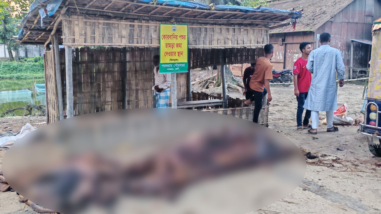 কোরবানির গরুর চামড়া ‘পানির দরে’ বিক্রি হতাশ ব্যবসায়ীরা