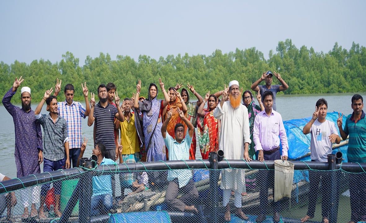 দেশে প্রথমবারের মতো খাঁচায় সম্পূরক খাদ্যে ভেটকি চাষে সফলতা
