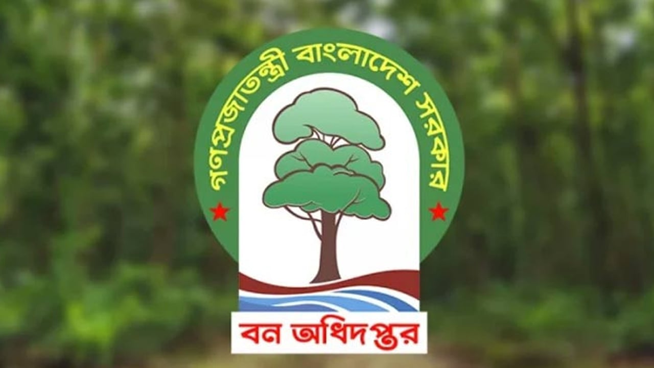 ৩৮২ ফরেস্টার নেবে বন অধিদপ্তর, পরীক্ষা নেওয়া হবে ৩ ধাপে