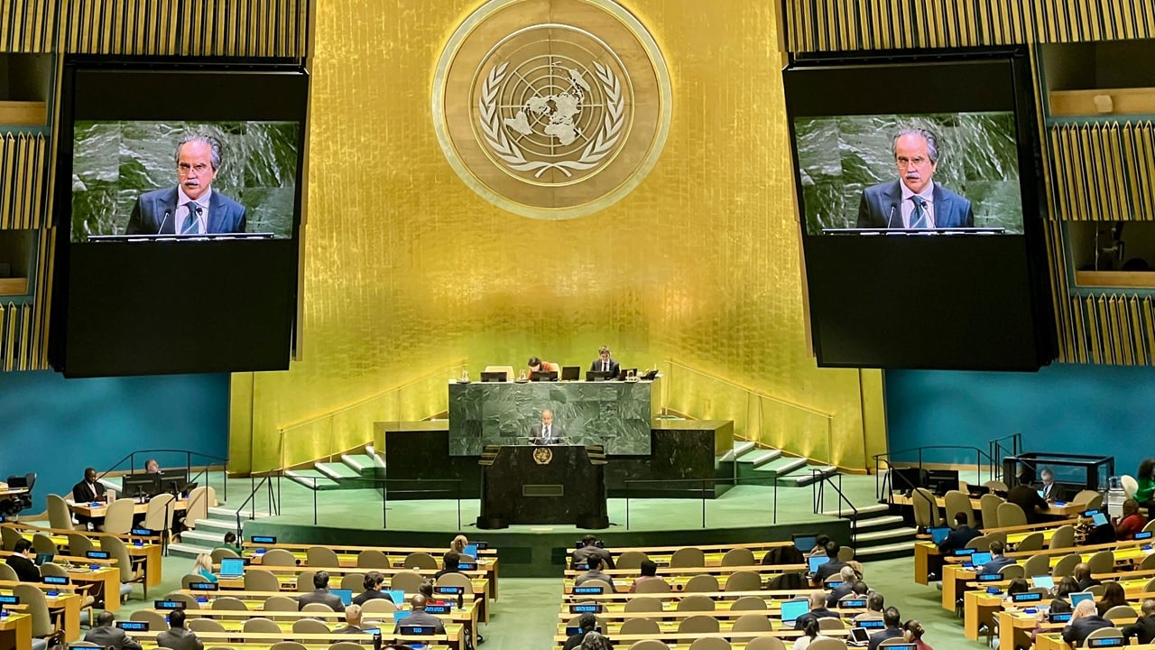 ফিলিস্তিন সমস্যার সমাধানে জাতিসংঘে পাকিস্তানের নয় দফায় যা আছে