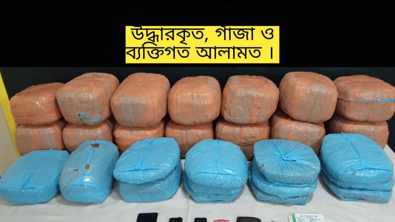 মিরসরাইয়ে ৭০ কেজি গাঁজাসহ ৩ মাদক কারবারি আটক