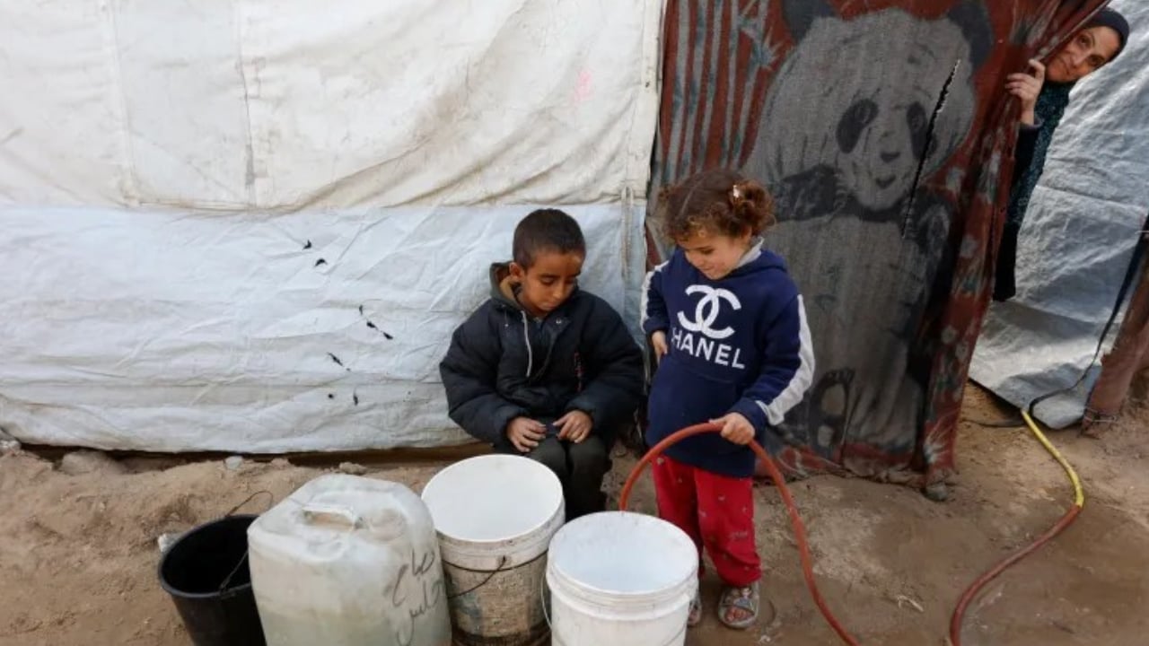 স্কুলে যাওয়ার বদলে জীবন বাঁচাতেই ব্যস্ত গাজার শিশুরা