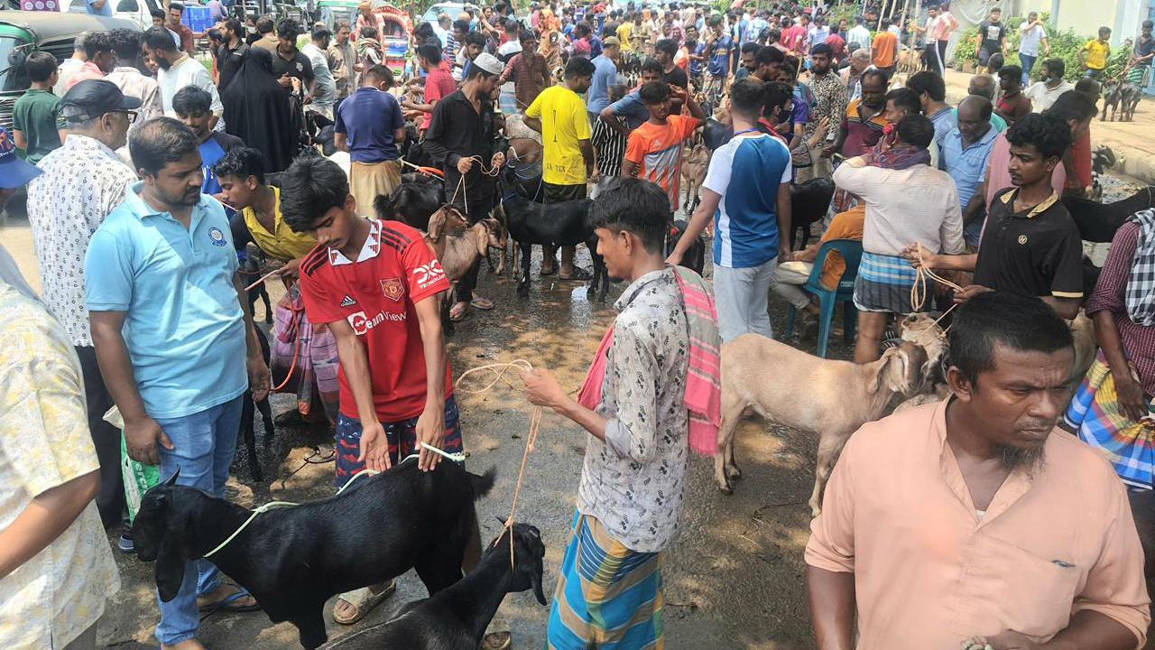 রাজধানীর পাড়া-মহল্লায় বসেছে ছাগলের হাট