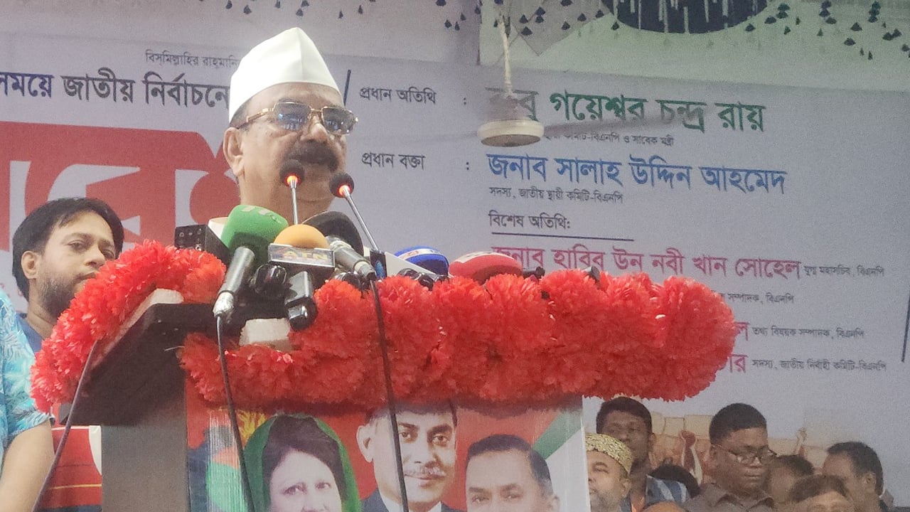 সব দল এখন বিএনপির পেছনে লেগেছে: গয়েশ্বর