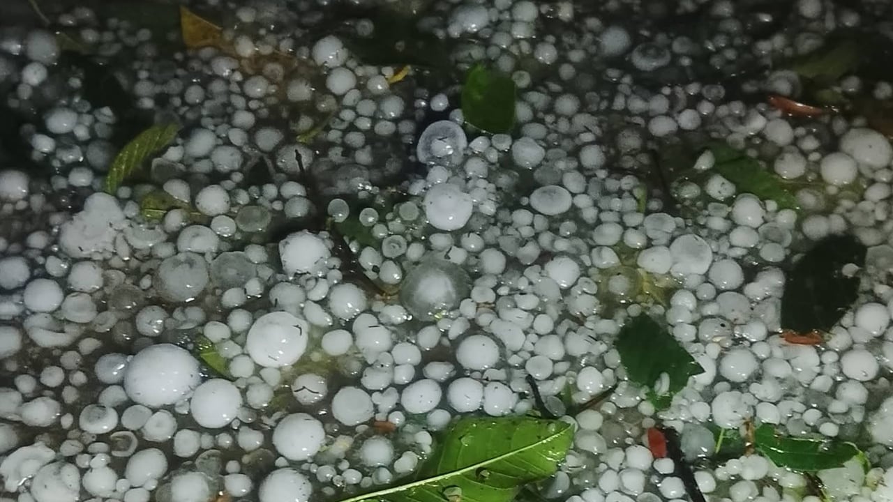 শিলাবৃষ্টিতে ফসলের ক্ষতির শঙ্কা, দুশ্চিন্তায় কৃষক