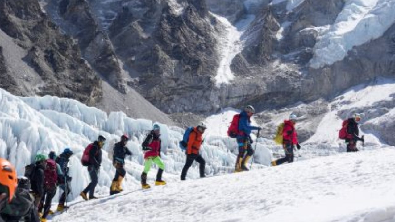 হ্যাশট্যাগ ‘আলপাইন ডিভোর্স’: জনপ্রিয়তার নেপথ্যে কী
