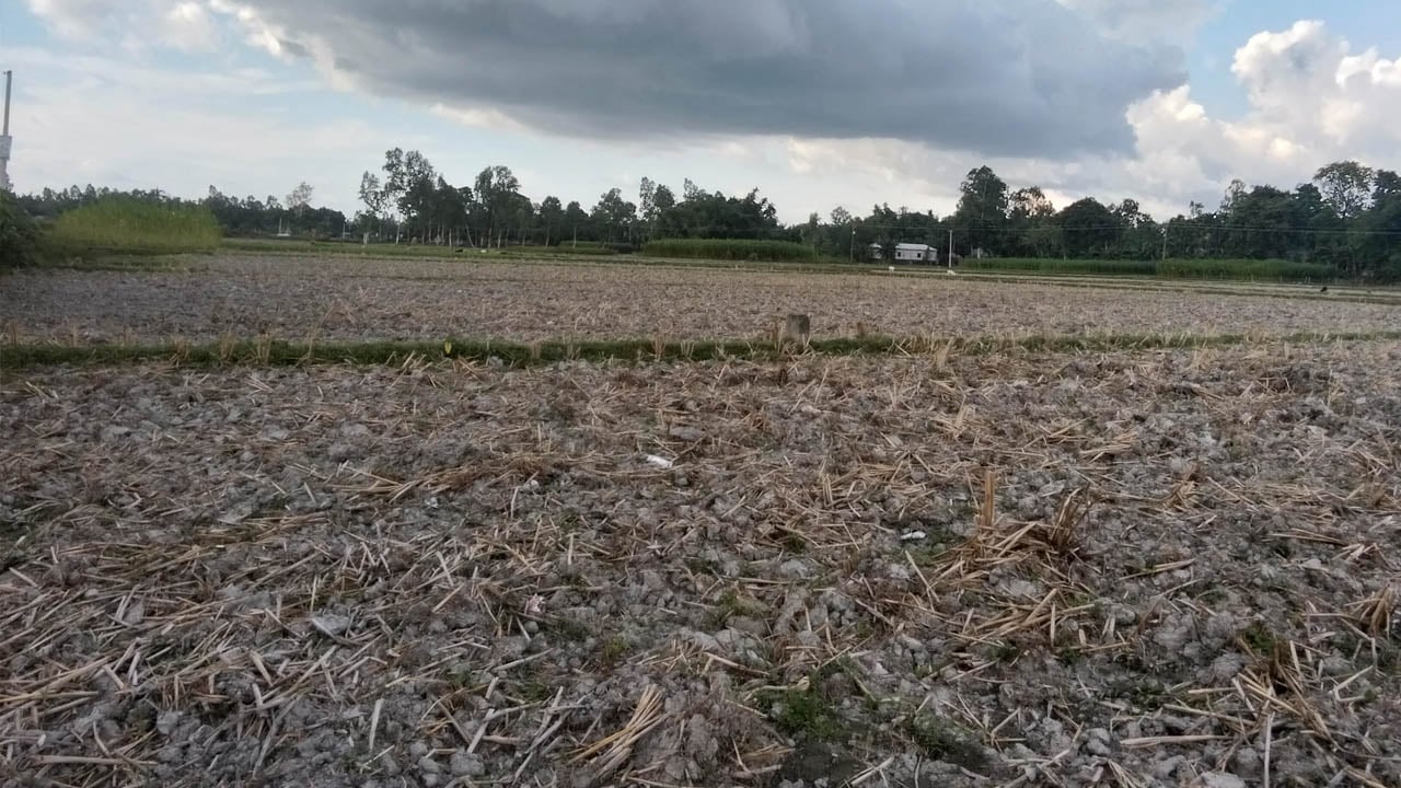 খরায় পুড়ছে নীলফামারী