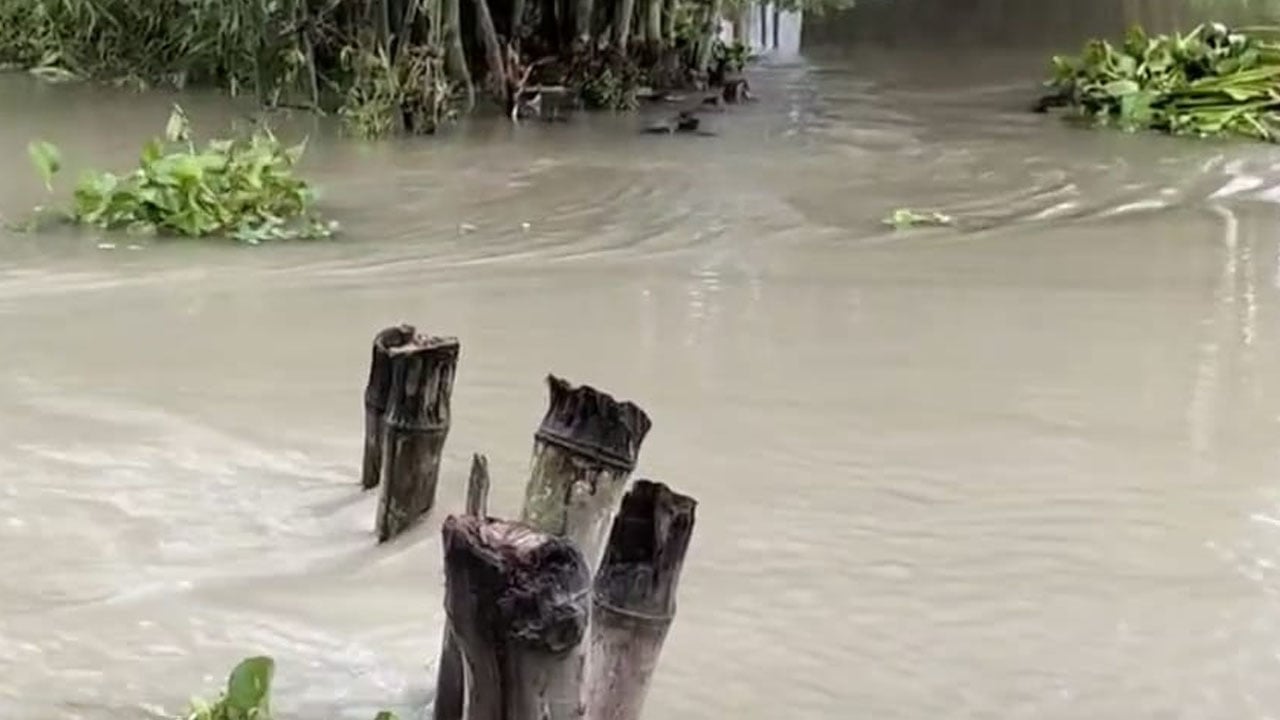 গজলডোবার গেট খুলেছে ভারত, তিস্তার পানি বিপদসীমার ৭ সেন্টিমিটার ওপরে