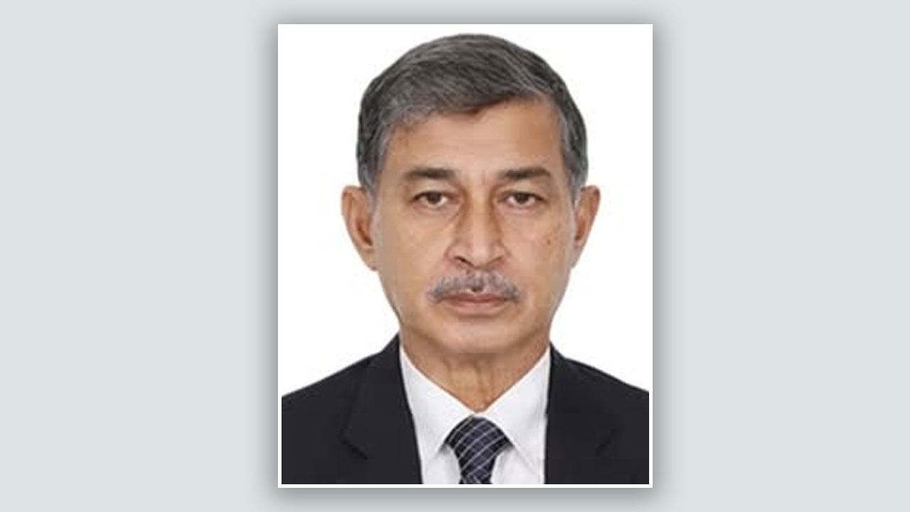 ‘রোহিঙ্গা সংকটের সমাধান ছাড়া দেশের সার্বভৌমত্ব ঝুঁকির মুখেই থাকবে’