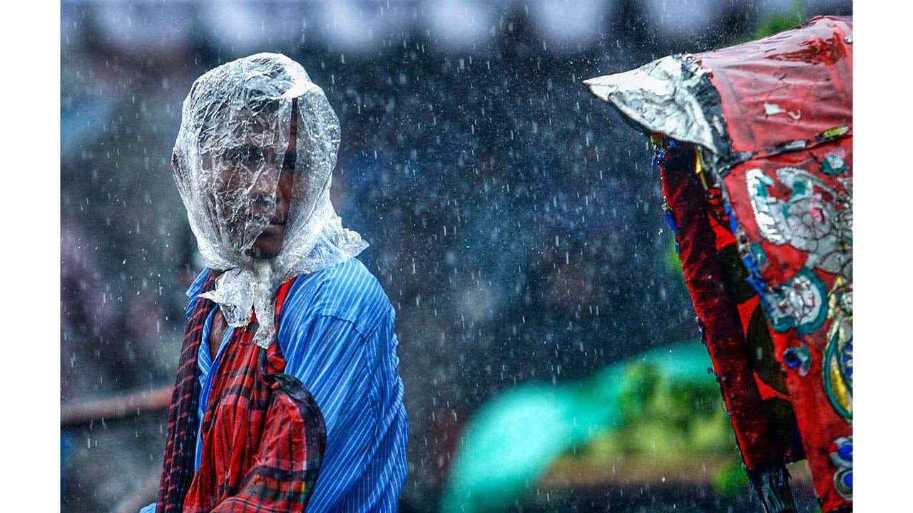 আগামীকাল শুরু হচ্ছে সপ্তাহব্যাপী ‘ট্রাবলিং রেইন’ প্রদর্শনী