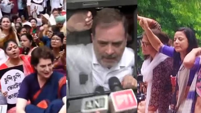 ছাড়া পেলেন রাহুল গান্ধীসহ আটক সংসদ সদস্যরা