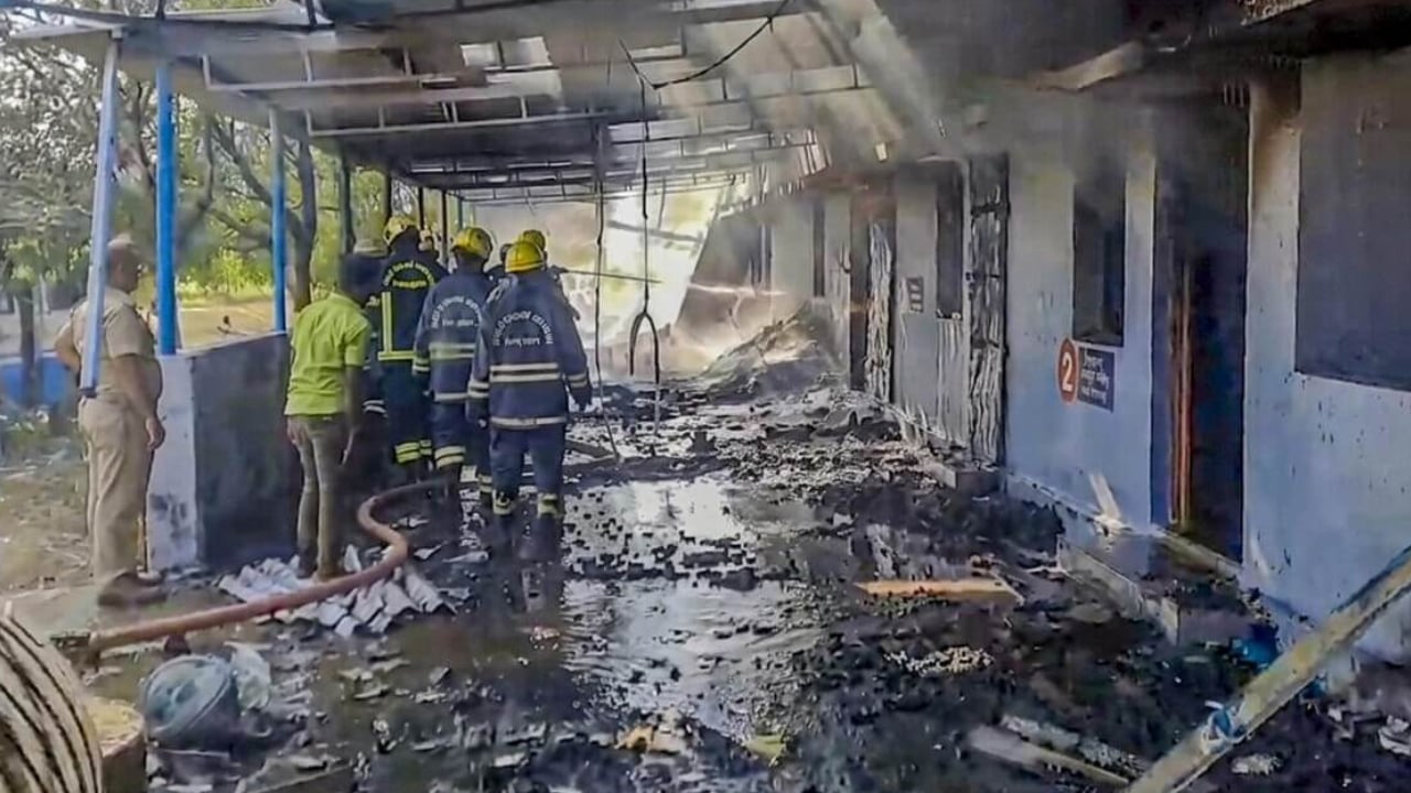 ভারতে বাজি তৈরির কারখানায় বিস্ফোরণে নিহত ২৩