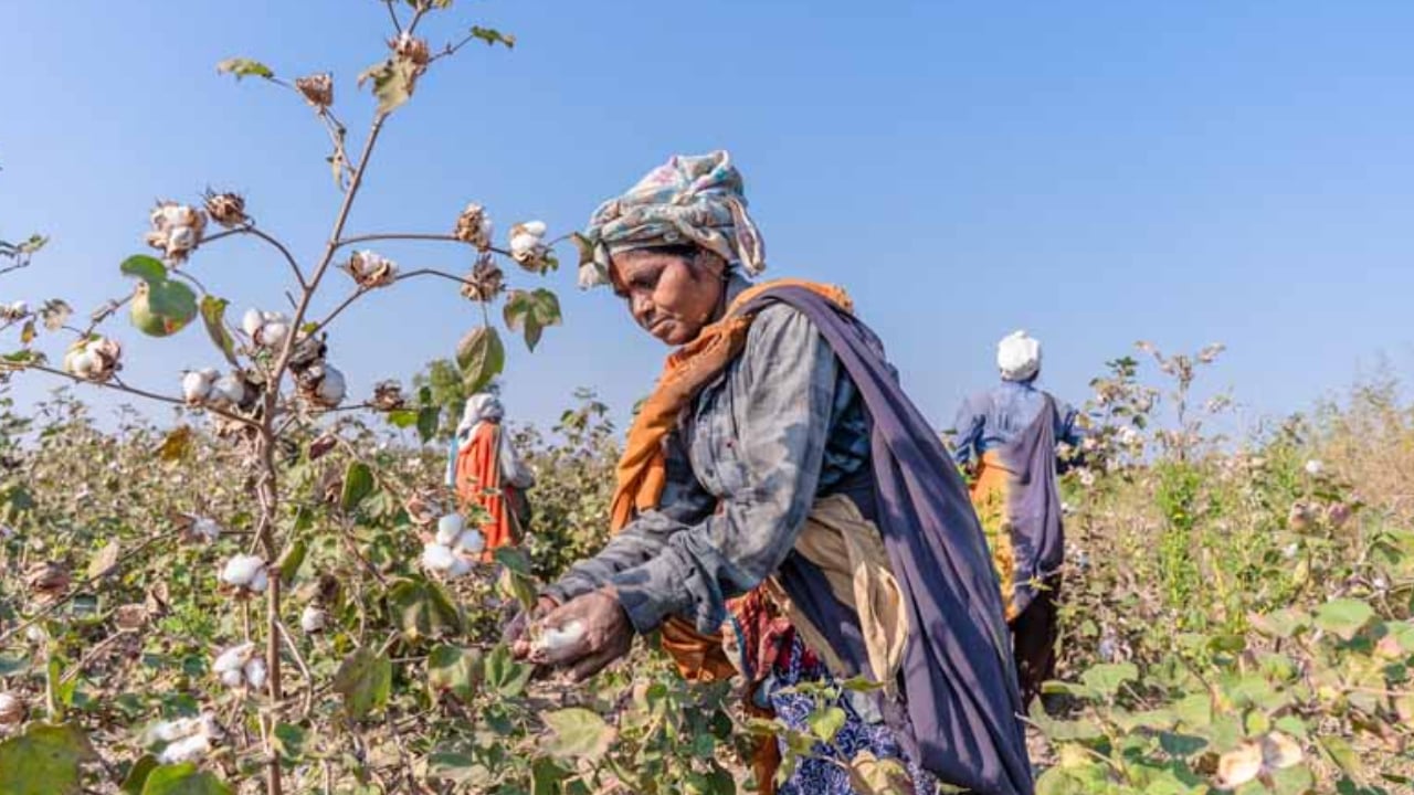 যুক্তরাষ্ট্রের সঙ্গে চুক্তিতে উৎকণ্ঠায় ভারতীয় কৃষক