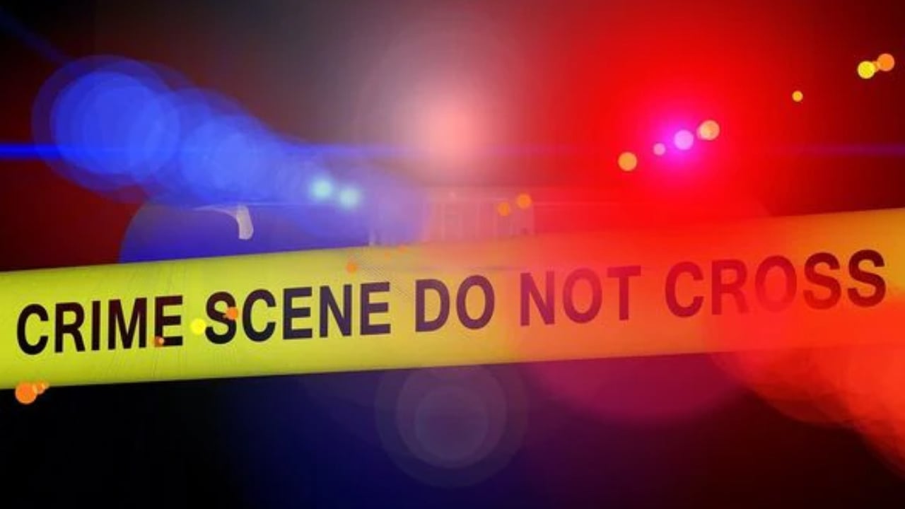 অনলাইনে গেম খেলতে নিষেধ করায় ভারতে ৩ বোনের আত্মহত্যা