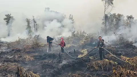 ইন্দোনেশিয়ায় ভয়াবহ দাবানলে নিহত ৪ 