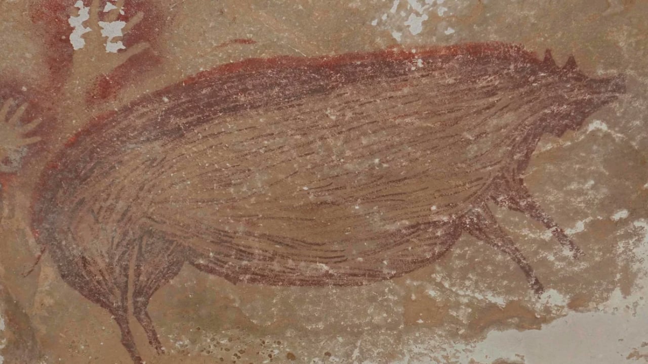 ইন্দোনেশিয়ায় বিশ্বের প্রাচীনতম গুহাচিত্র আবিষ্কার