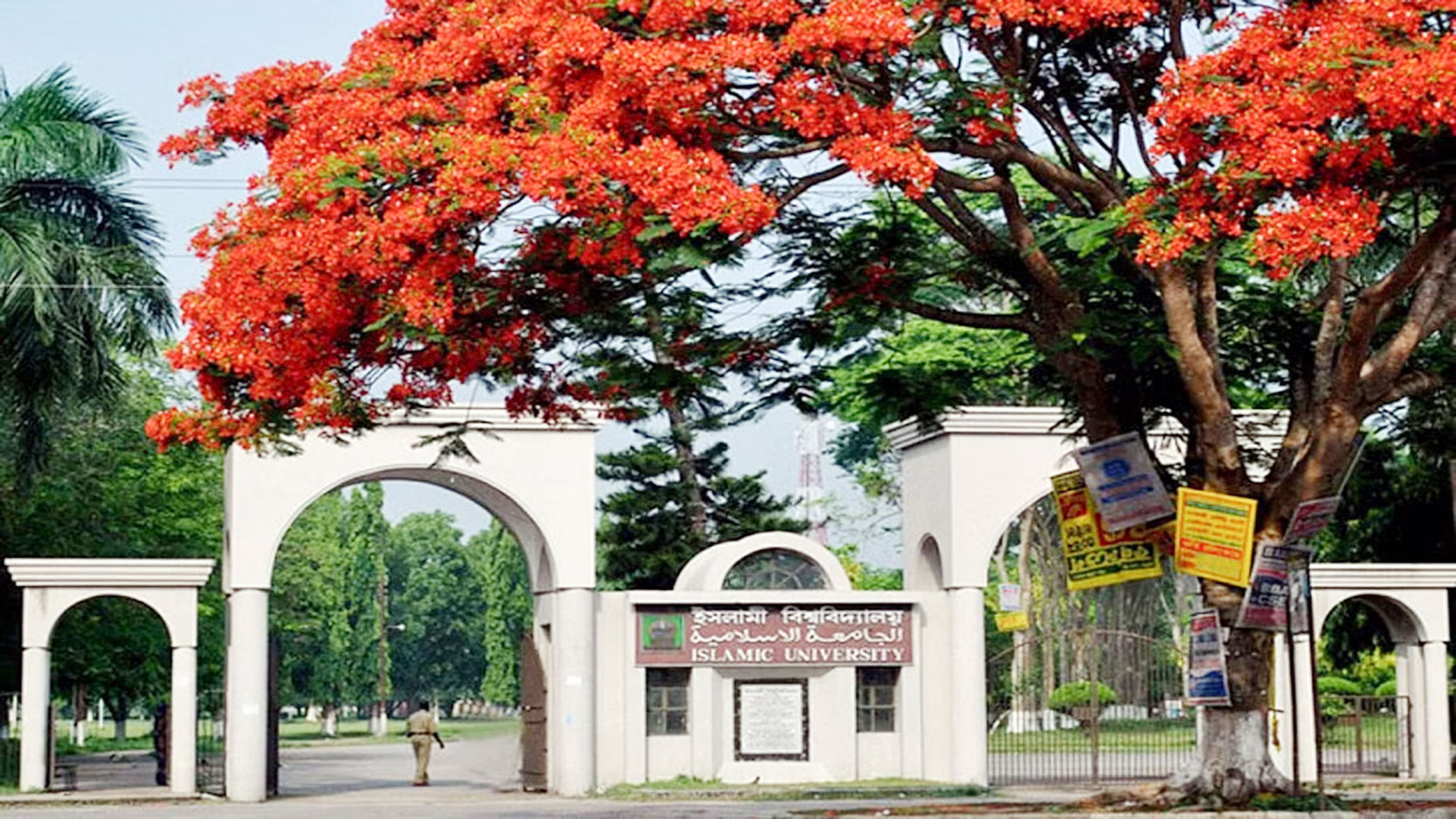 ইসলামী বিশ্ববিদ্যালয়: সবুজে ঘেরা নিরিবিলি ক্যাম্পাস