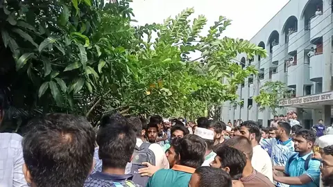 ইবিতে শিবির নেতাকে ছাত্রদল কর্মীর চড়, ক্যাম্পাসে উত্তেজনা