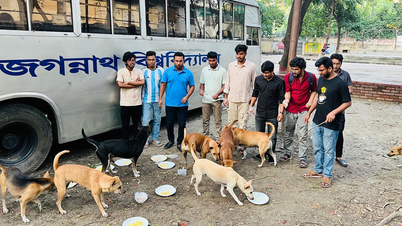 বন্ধ ক্যাম্পাসে নির্বাক প্রাণীদের পাশে জবি ছাত্রদল