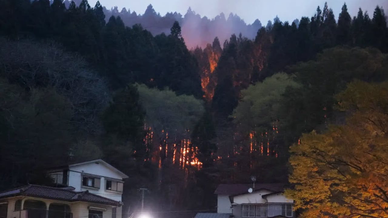 জাপানের উত্তরাঞ্চলীয় শহরে ছড়িয়ে পড়ছে দাবানল