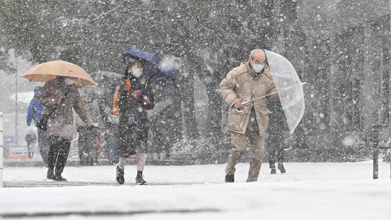 জাপানে টানা ভারি তুষারপাতে নিহত বেড়ে ৪৬, আহত পাঁচ শতাধিক