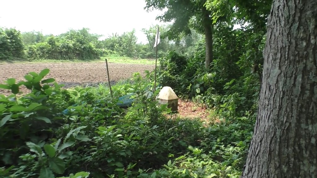 ঝিনাইদহ সীমান্তে এক বাংলাদেশিকে হত্যা করলো বিএসএফ