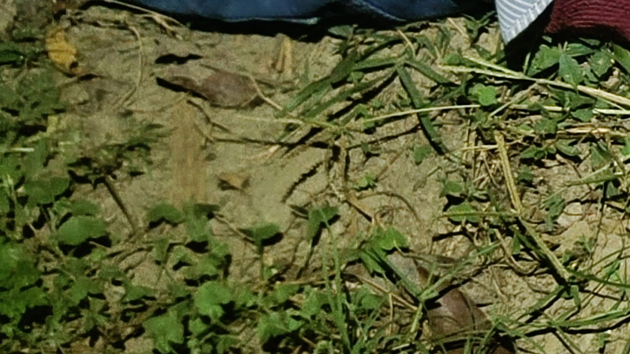 ঝিনাইদহে ৩ জনকে গুলি করে হত্যা
