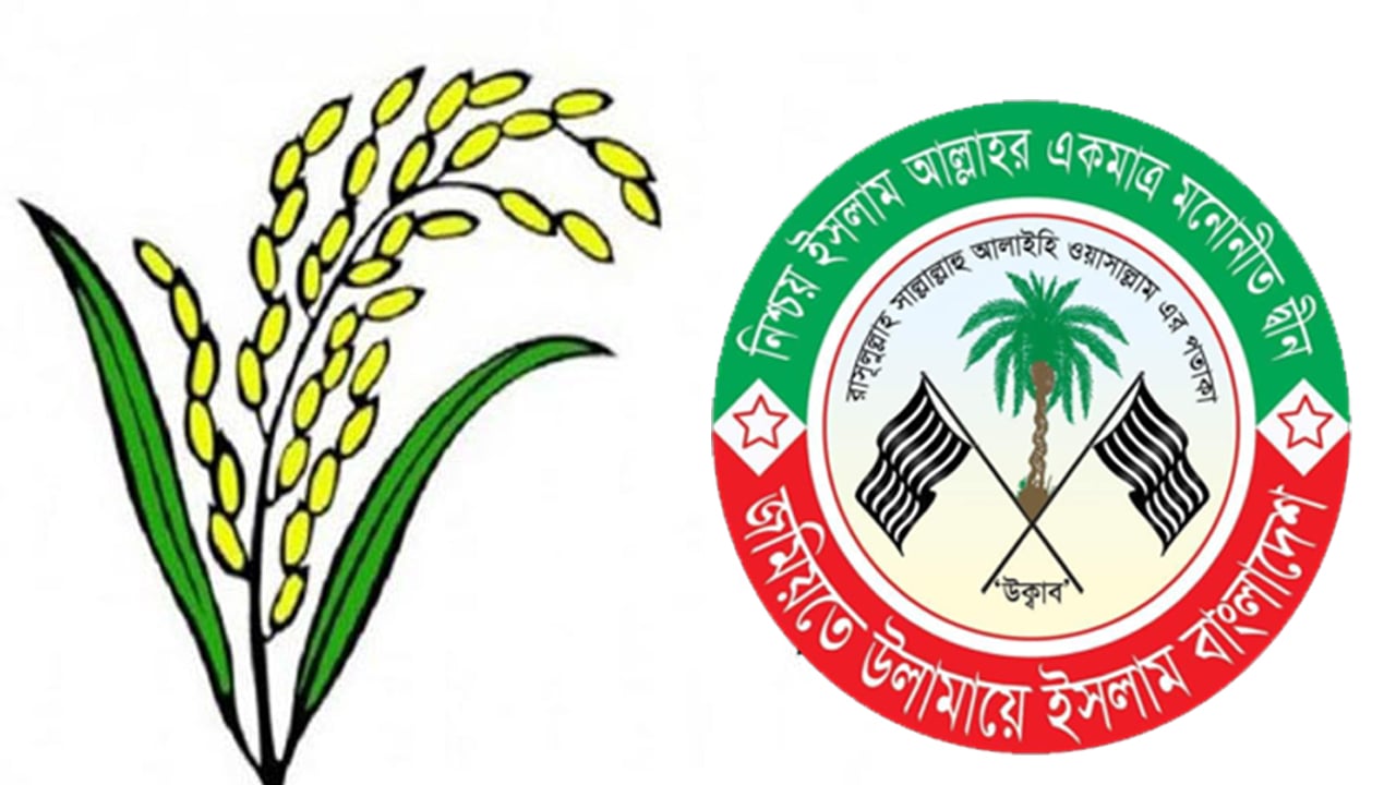 ধানের শীষ নয়, যে প্রতীকে লড়তে হবে বিএনপি সমর্থিত জমিয়ত নেতাদের