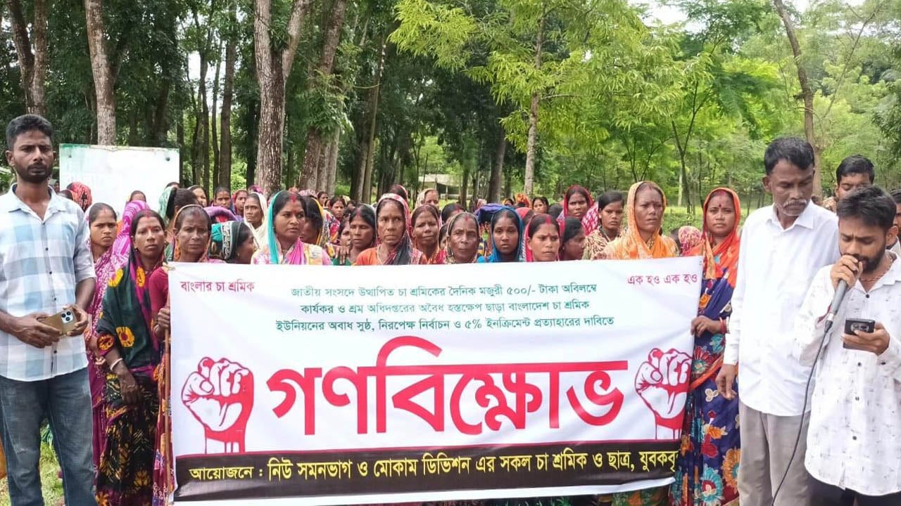 দৈনিক ৫০০ টাকা মজুরির দাবিতে চা-শ্রমিকদের মানববন্ধন
