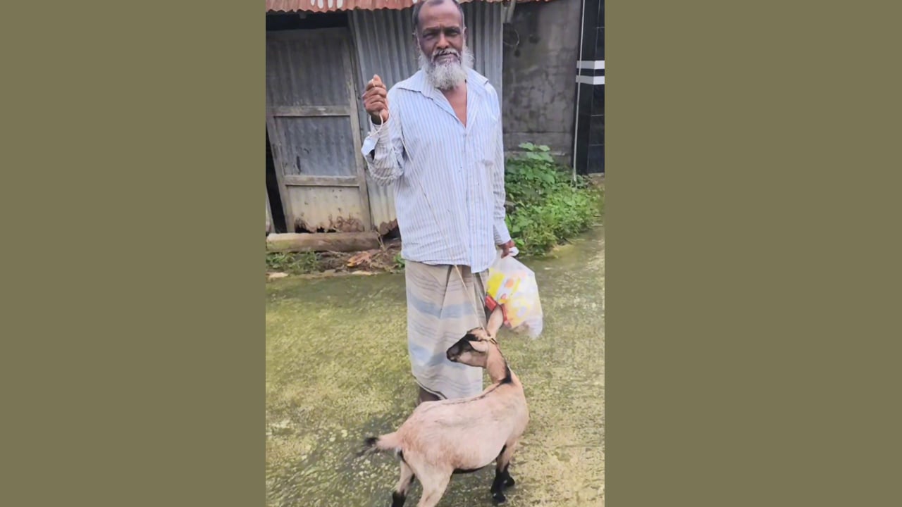 জীবনে প্রথম কোরবানি দিতে পেরে খুশিতে আত্মহারা মোকসেদ মিয়া