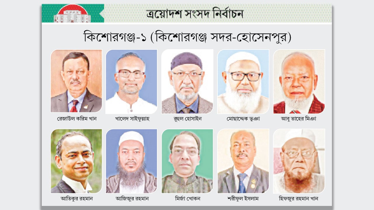 মাঠে বিএনপির এক ডজন, জামায়াতের একক প্রার্থী