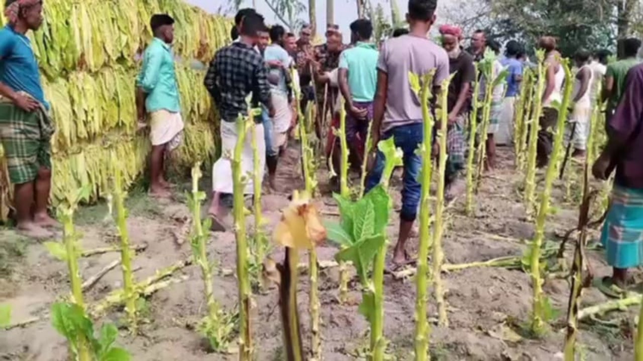 লালমনিরহাট সীমান্তে ভারতীয়দের মারধরে হাসপাতালে বাংলাদেশি