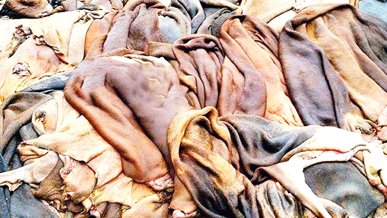 ট্যানারি মালিকদের গলার কাঁটা অকার্যকর সিইটিপি