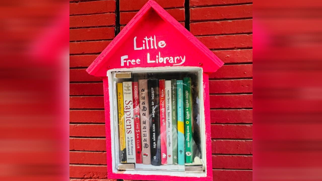 Little Library 2