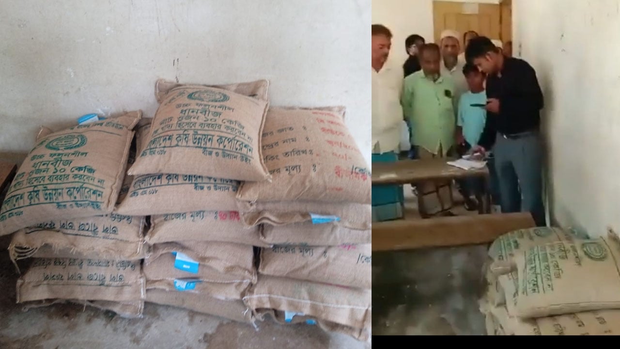 জামায়াত নেতার মাদরাসায় মিলল ১৩ বস্তা সরকারি আমন ধানের বীজ
