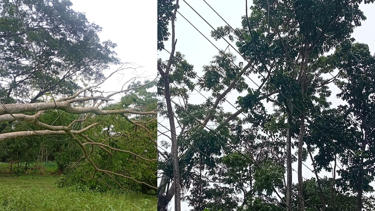 মির্জাগঞ্জে কালবৈশাখী ঝড়ে বিদ্যুৎবিহীন ৩৯ হাজার গ্রাহক