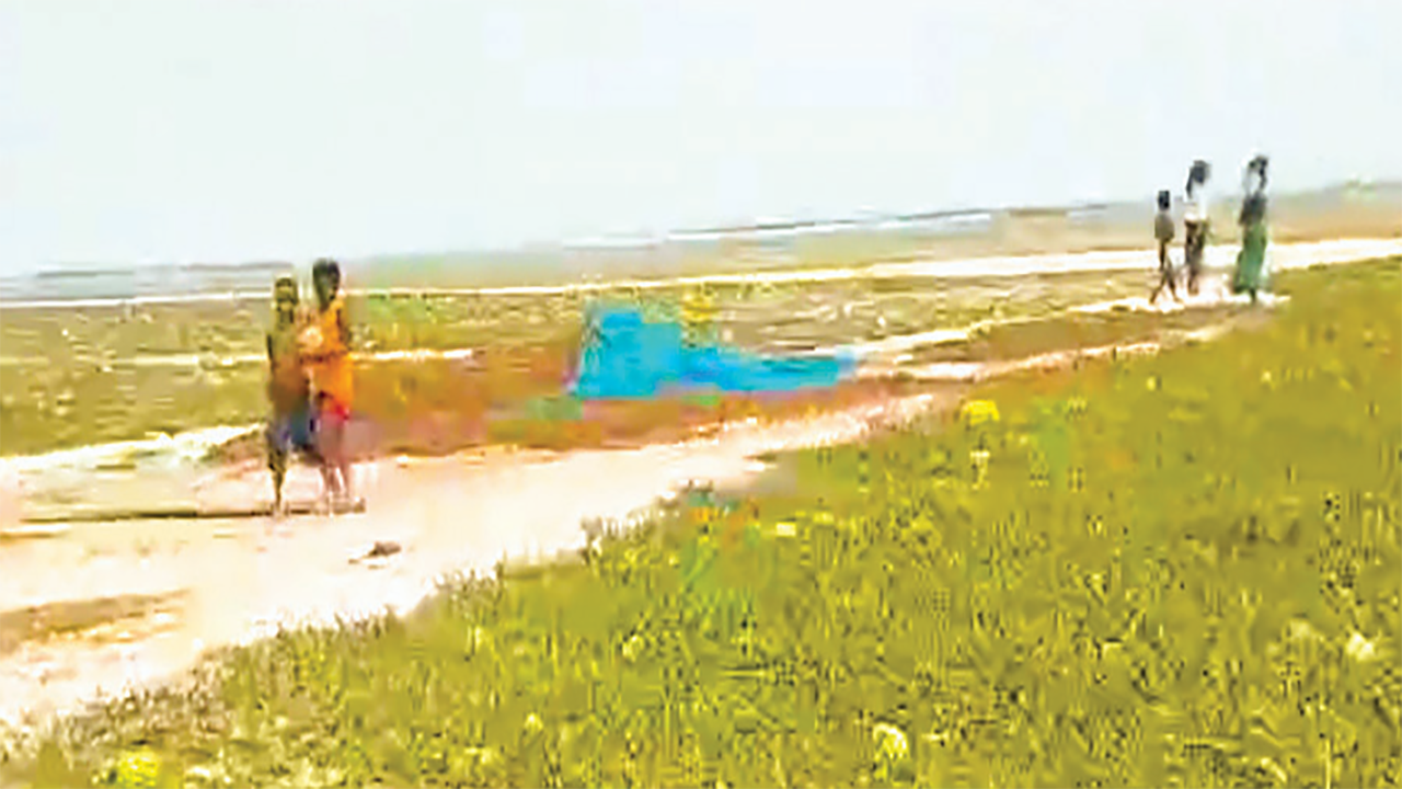 দুর্যোগের সঙ্গে লড়াই করে টিকে আছে পদ্মার চরাঞ্চলের মানুষ