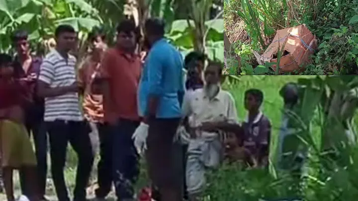 কার্টন খুলতেই আঁতকে উঠল পুলিশ, মিলল ছয় টুকরো লাশ