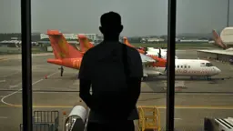 ইন্দোনেশিয়ার দাবানলের ধোঁয়ার কারণে সিঙ্গাপুরে ফ্লাইট বাতিল করল মালয়েশিয়া