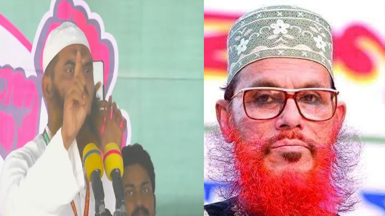 সমাবেশে আল্লামা দেলাওয়ার হোসাইন সাঈদীকে নিয়ে যা বললেন মামুনুল হক