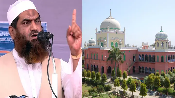 দেওবন্দের আলেমরা মওদুদীর সঙ্গে মিলে আন্দোলন করেছেন: মামুনুল হক