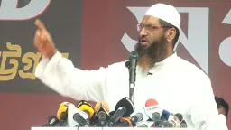 বিএনপি রাষ্ট্র সংস্কার নয়, আধিপত্যবাদের সঙ্গে আপস করতে চায়: মামুনুল হক