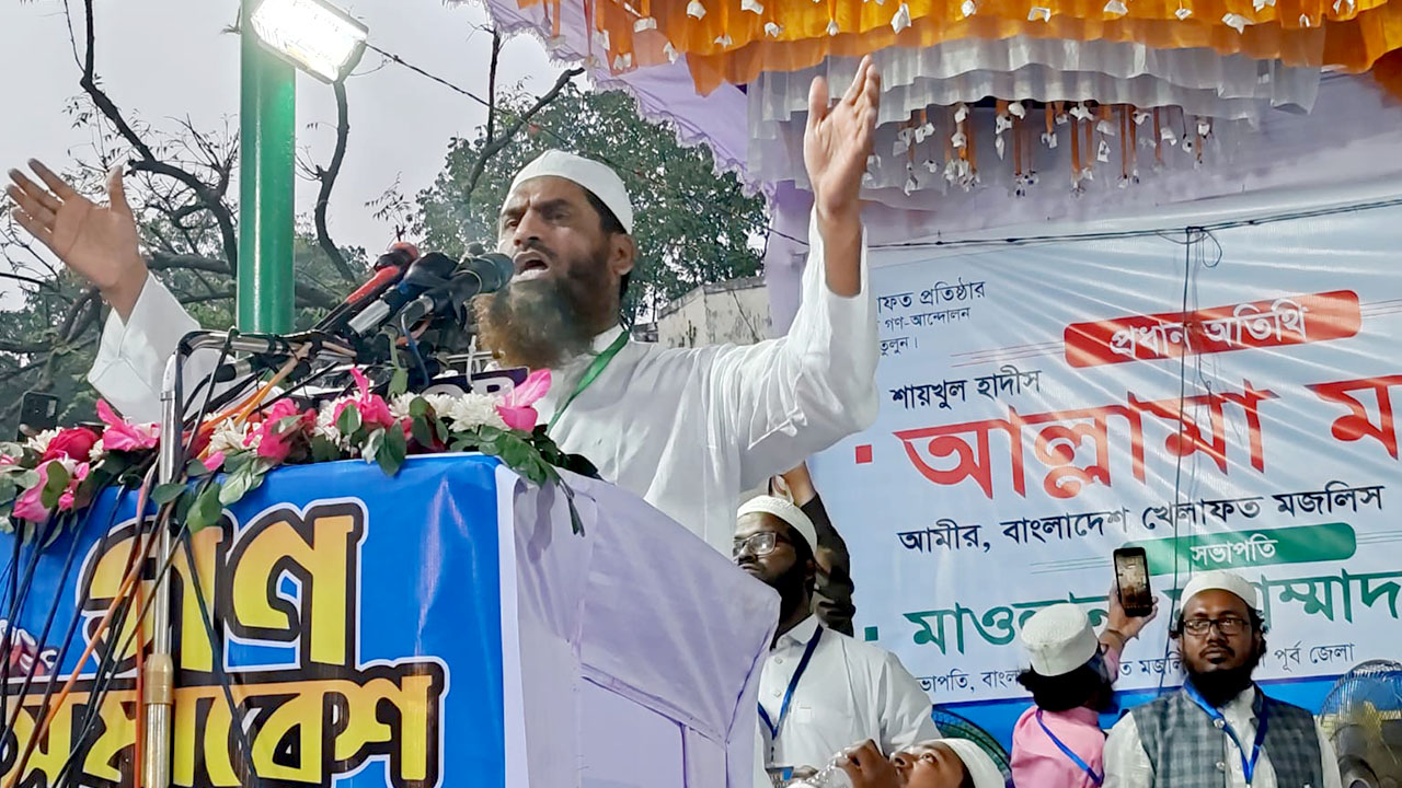 রাজাকার বলতে বলতেই পালিয়েছে হাসিনা: মামুনুল হক