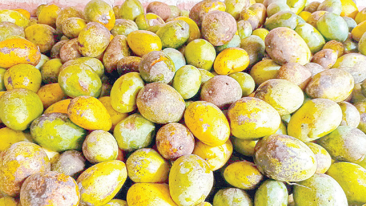 নামিদামি জুস কোম্পানি কিনছে পচা-ফাটা আম