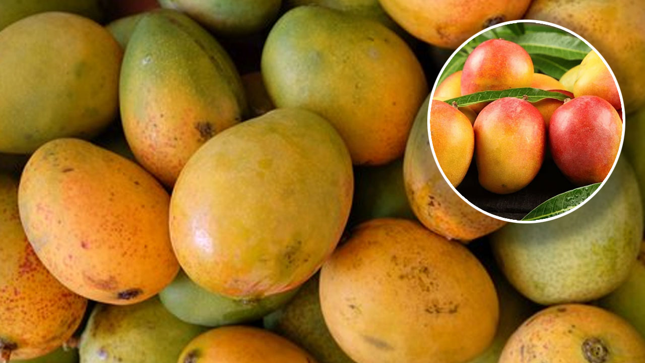 কাতারে প্রথমবার বাংলাদেশি আম উৎসব জুনে