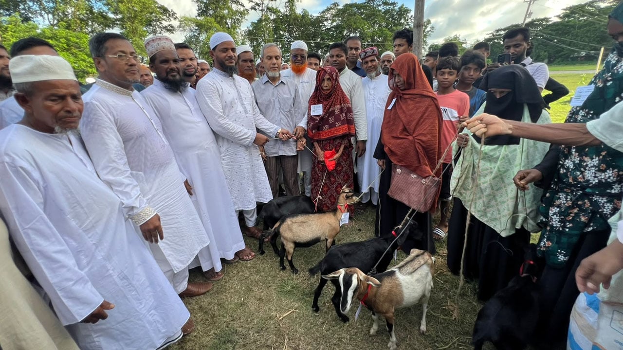 আমাদের যারা গালি দেয়, আমরা তাদের সালাম দেই