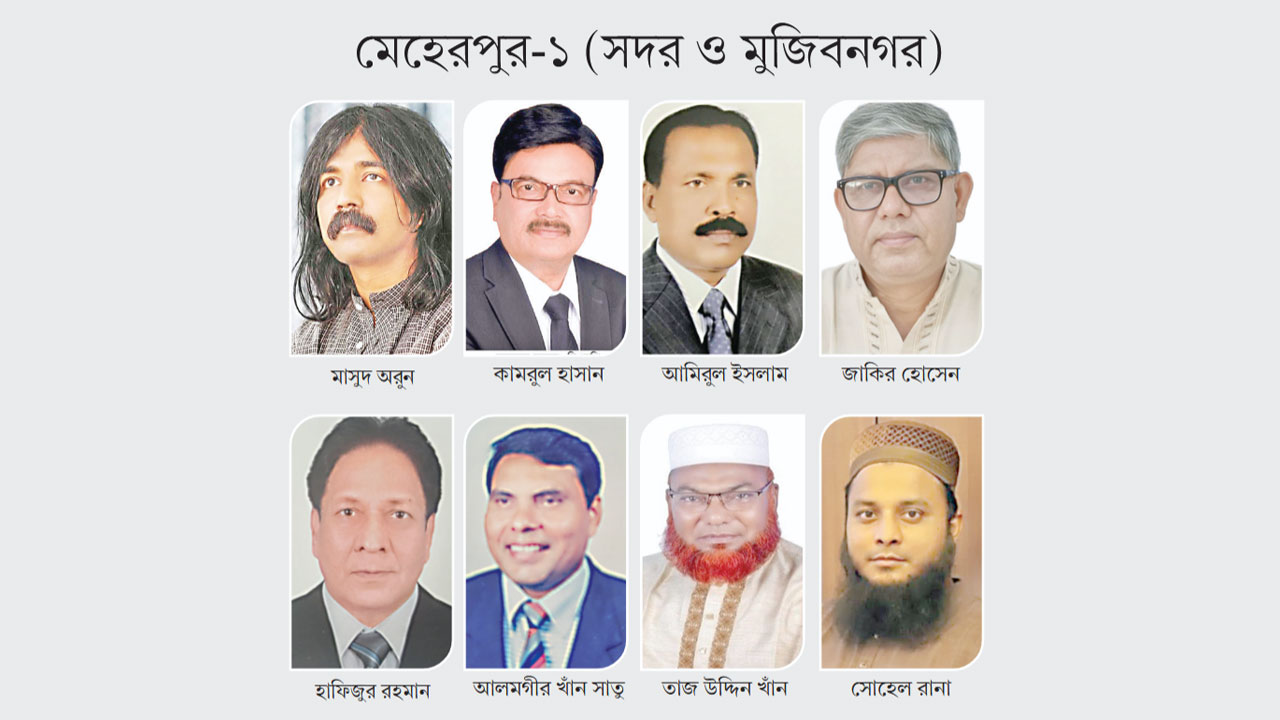 বিএনপিতে একাধিক প্রার্থী, গণসংযোগে জামায়াতে ইসলামী ও এনসিপি