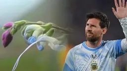 মেসির নামে নতুন ফুল!
